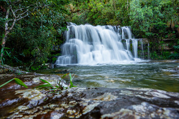 Obraz premium Water cascading over multiple rock formations, flowing into a tranquil forest stream, surrounded by lush green foliage creating a serene natural landscape