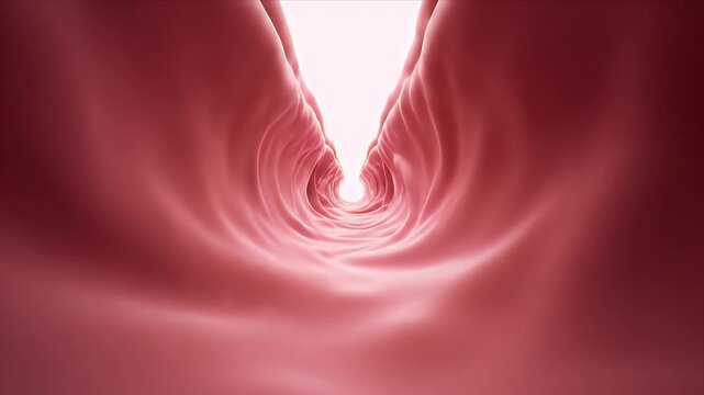 3D Medical Animation of Healthy Esophagus Tunnel with Light at the End Representing Passage and Digestion Concepts