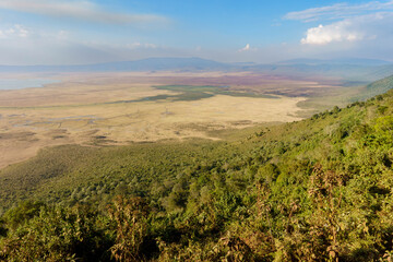 Landscape green forest slopes of side of Ngorongoro crater rim leading down to wide expansive floor.