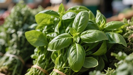 Fresh Basil Leaves Close Up in Herb Market: Macro close up of fresh green basil leaves bundled at herb market, detailed leaf veins texture, natural sunlight, aromatic herb display.