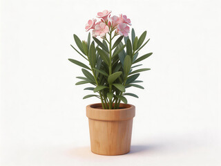 Pink Flowers in Wooden Pot on White Background