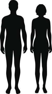 Silhouette illustration of two human figures standing side by side, tall and short body shapes comparison for design and education