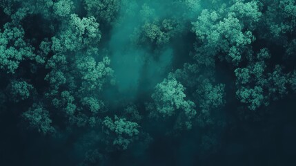 Obraz premium Ethereal Aerial View of Lush Green Forest with Soft Fog and Mysterious Atmosphere Captured from Above
