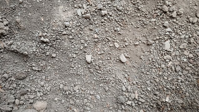 The ground surface is small rocks and dry gray gravel, with a rough and uneven texture