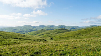 Obraz premium Green Hills Landscape with Clear Sky and Minimal Composition