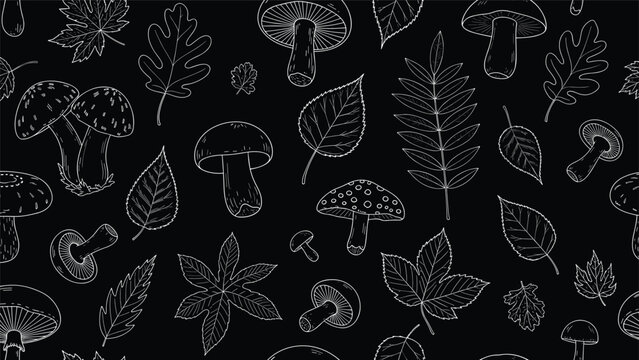 Hand-drawn white outlines of various mushrooms and autumn leaves form a detailed seamless pattern on a solid black background.
