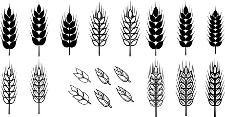 Naklejka premium Set of vector wheat ears icons. Black silhouettes and outline grain spikes isolated on white background.