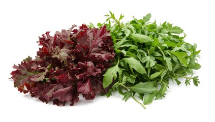 Arugula and beet leaves, on a white background. High-resolution photo