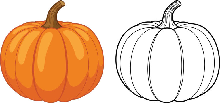 Cartoon style pumpkin illustration featuring both a vibrant orange version and a black outline for coloring perfect for autumn Halloween and harvest themes