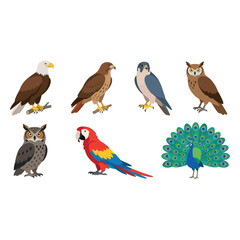 Naklejka premium Animal flat color Vector Illustration 