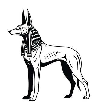 Vector of anubis, the egyptian god with a jackal head