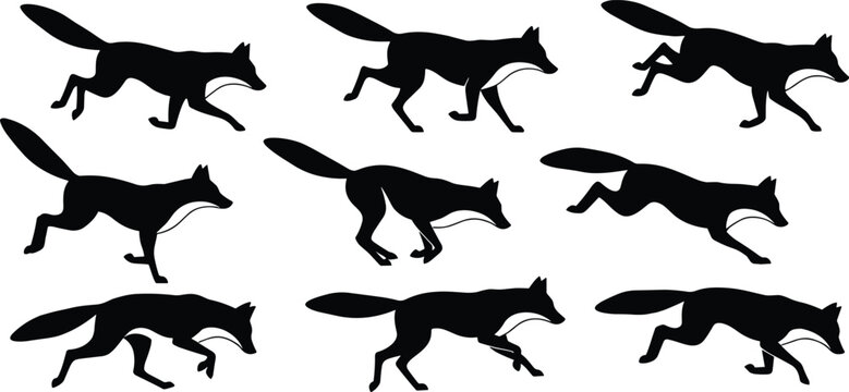 Black silhouette vector illustration set of a running fox in various motion frames for animation sequence wildlife movement or nature hunting concept design