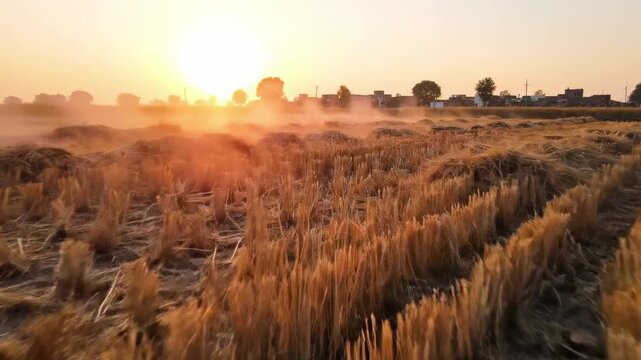 A serene sunrise casts warm golden hues across a harvested field, with mist rising from the stubble, creating a tranquil yet vibrant indian village landscape