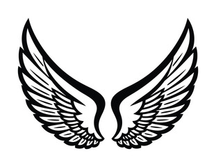 Obraz premium Vector of symmetrical angelic wings with feather structure