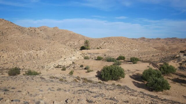 Panoramic view of arid desert landscape near Matmata, Tunisia, walking across rocky valley with sparse vegetation and palm trees under wide blue sky
