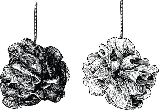 Bath sponge or loofah vintage woodcut illustration isolated on transparency background