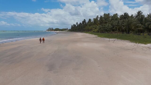 Aerial drone video of a beach in Brazil, Alagoas state, in Sa&otilde; Migel Dos Milagres, near Maceio, huge paradisiacal beach with many palm trees.