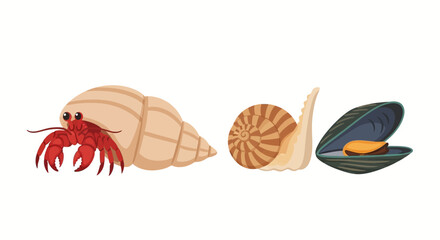 Hermit crab, snail, and mussel shells on white background © Stock PD
