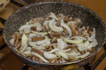 Honey mushrooms and onions fried in a pan.