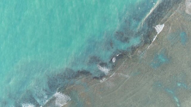 Aerial drone video of a beach in Brazil, Alagoas state, on Ponta Verde beach in the city of Maceio, overhead view of the coral reefs.