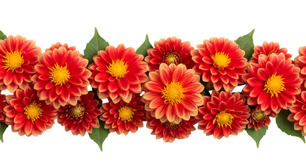 Red Chrysanthemum Flowers Border Arrangement Isolated on transparent background