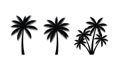 Fototapeta premium Three black silhouettes of palm trees