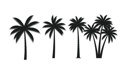 Obraz premium Set of black silhouette palm trees