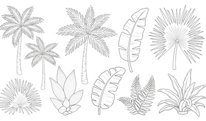 A collection of tropical palm trees and leaves in a minimalist line art style