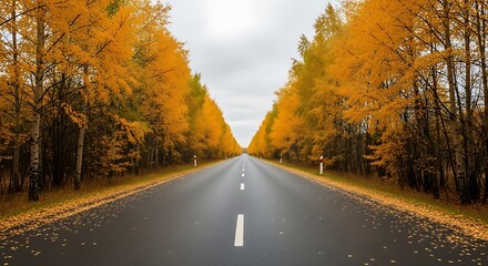 Fototapeta premium Autumn Road Scenery.