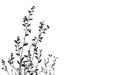 Grass silhouette with delicate leaves and tiny seed heads on a pure white background, creating a minimalist natural design. © skakter24