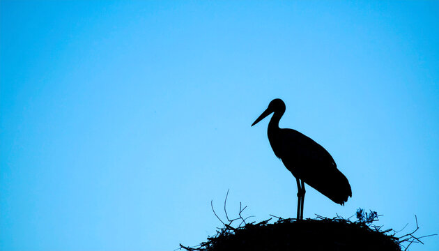 Infertility Awareness Concept Image. Promoting Understanding and Emotional Support.