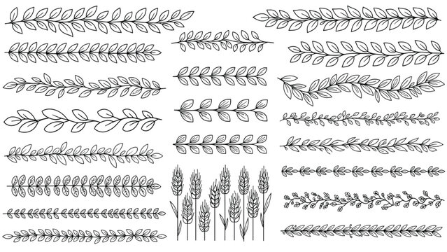 Extensive set of hand-drawn botanical borders featuring various leaf vines, branches, and wheat stalks in black line art.