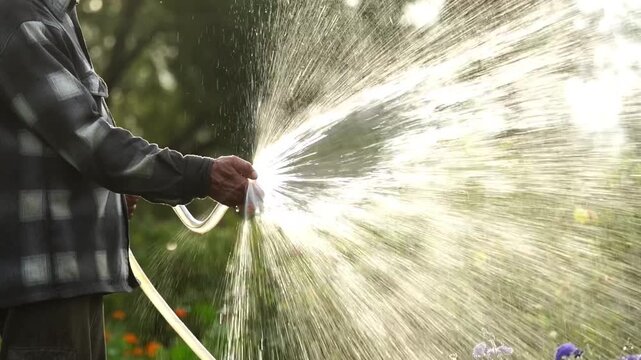 Gardener watering flowers in garden plot
