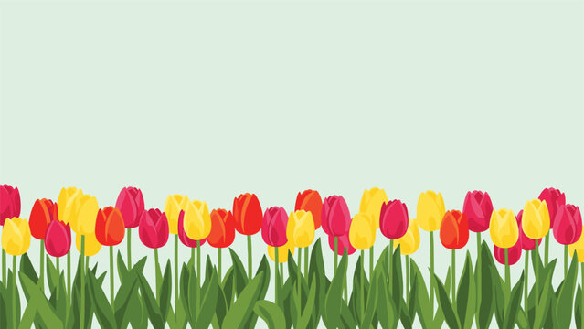 Vibrant field of colorful red, orange, pink, and yellow tulips with green leaves growing on a light mint green background.