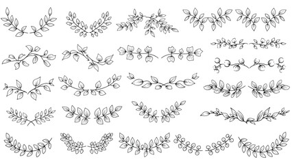 Obraz premium Large set of various hand drawn leaf and branch dividers and laurel wreaths in black and white line art on white background.
