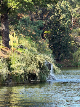 Waterfall stream and natural forest pond