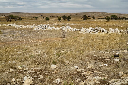 ry grassland plain with low stone wall and scattered trees under cloudy sky