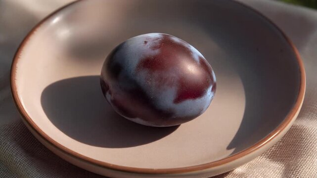 Single fresh plum with natural bloom on a rustic ceramic plate