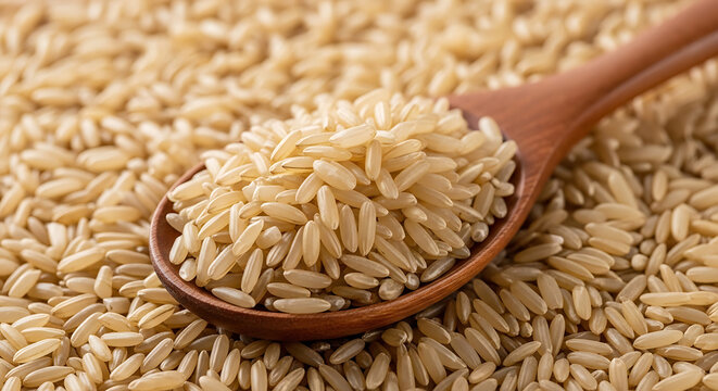 Organic unpolished brown rice grain resting in a rustic wooden spoon placed over a heap of textured whole cereal seed, concept of healthy nutrition, natural agricultural harvest background.