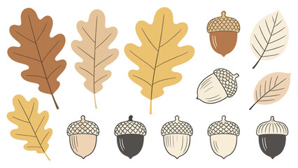 Set element botanical floral species of _0713546453.eps 13 Cartoony Leaf Acorn Illustrations in 3 Rows with Varied Colors and Grid Patterns © Ube