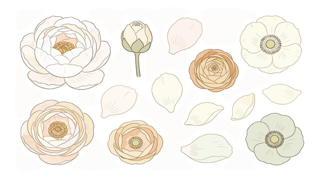 Minimalist Botanical Collection of 11 Flowers and Leaves in Soft Colors and Random Pattern, Illustrated in Muted Tones for Calm