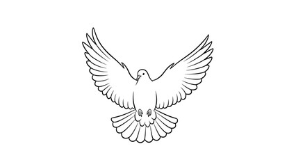 Obraz premium Detailed black and white line art illustration of a dove flying with its wings spread wide against a plain white background.