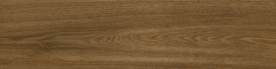 Fototapeta premium 2702102315