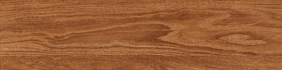 Obraz premium 2703085489