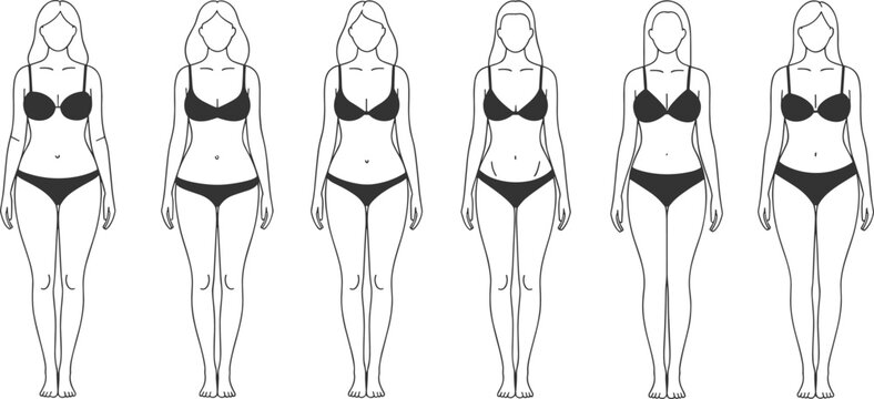 Female body types fashion anatomy, diverse women silhouette illustration, flat vector