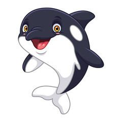 Fototapeta premium Cartoon killer whale on white background