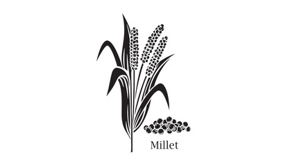 Millet grain stalks and seeds, illustrated in a simple black and white graphic style for design. featuring cereal, seed, plant with stalk and © TAIFUR