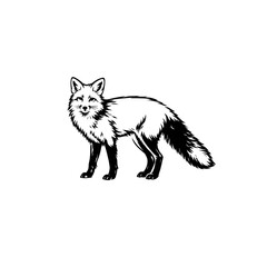 Obraz premium Vector line art illustration of Fox.