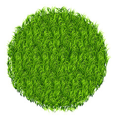 Green grass texture natural lawn banner background vector © Umme