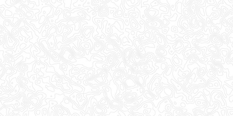 Gray topographic map contour lines on white background pattern texture © MD.HUZZATULLAHISLAM